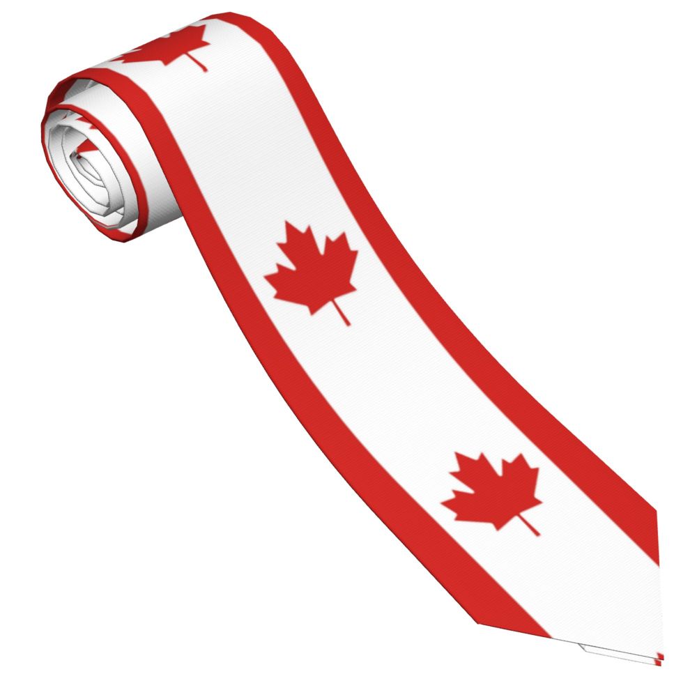 Men'S Accessories Canada - للجنسين البوليستر الرقبة العلاقات للرجال ،